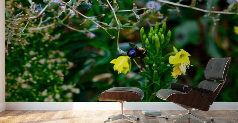 To Bee or Not to Bee  -- Kiss My Shiny Bumble Butt Wall Murals