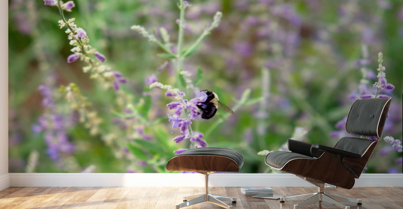 To Bee or Not to Bee -- Small Flower Big Flavor  Wall Murals