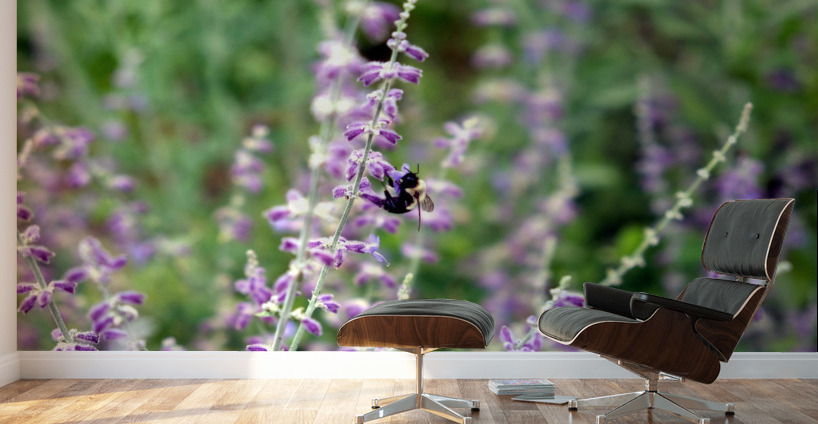 To Bee or Not To Bee--Small Flower Big Flavor 2 Wall Murals