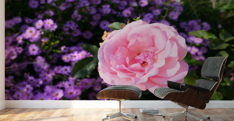 Flower Bloom 6 Wall Murals