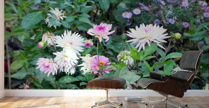 Pink and White Flowers  Wall Murals