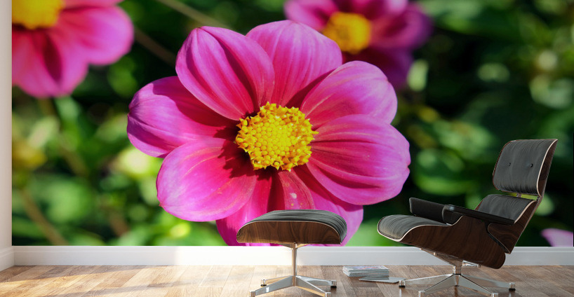 Flower Bloom 7 Wall Murals