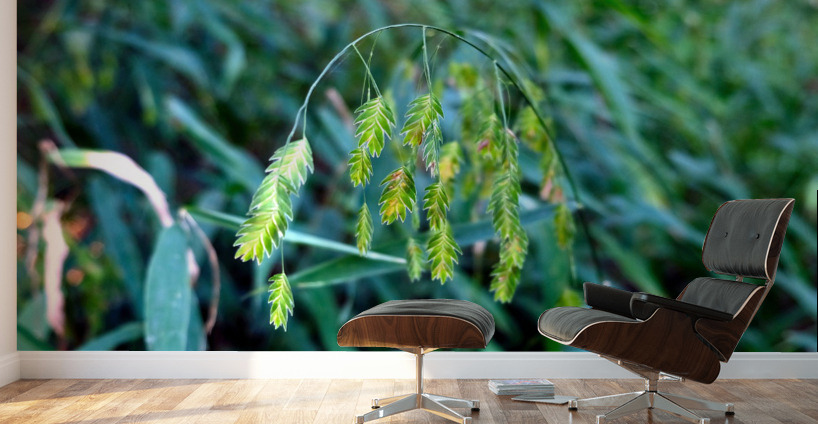 Silent Green Wind Chimes Wall Murals