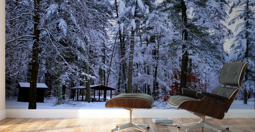 Winter Wonderland 2 Wall Murals