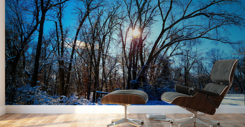 Winter Wonderland 2 Wall Murals