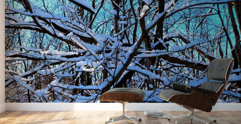 Frozen Limbs 3B Wall Murals