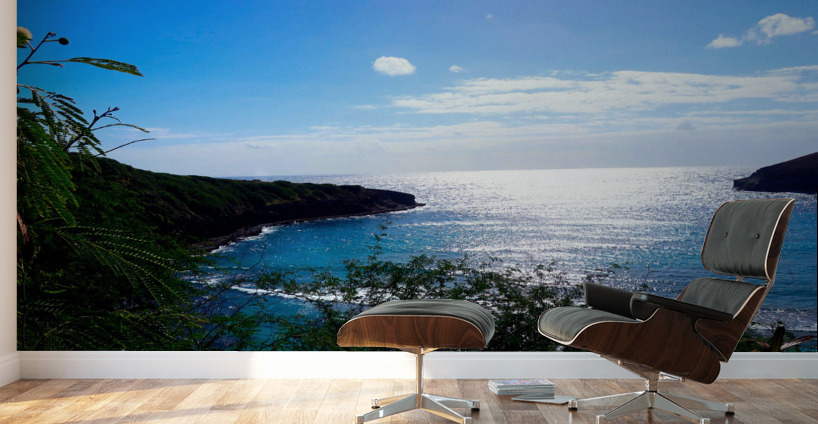 Welcome to Hawaii Wall Murals