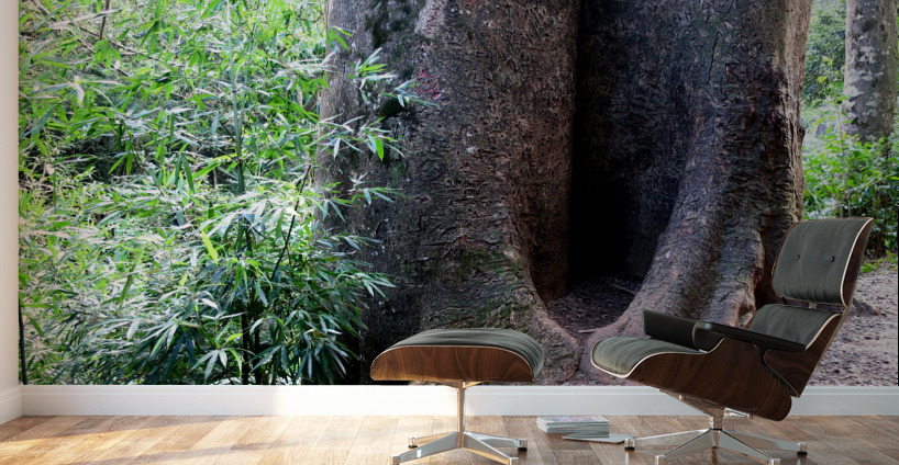 Got Stumped  Wall Murals