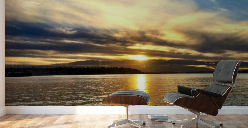 Flying Over the Edgewater Wall Murals