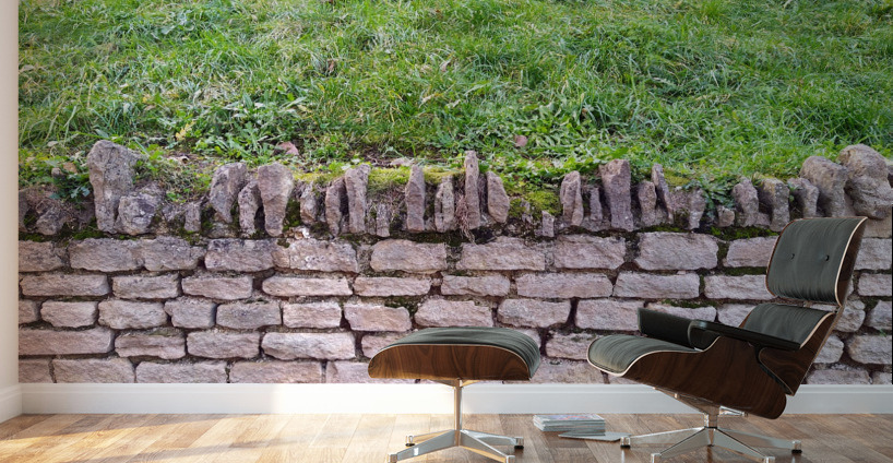 Barbed Stone Wall Wall Murals