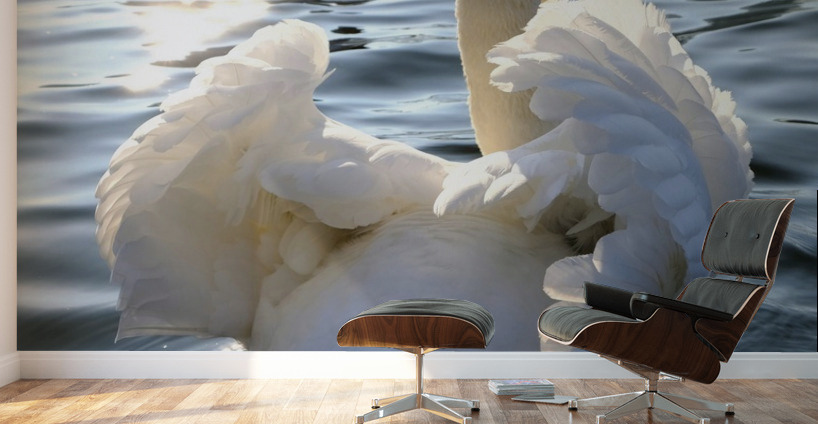 Behind Wings of Love 1A Wall Murals