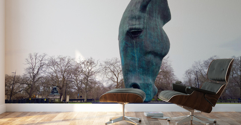 Horsehead Sculpture Wall Murals