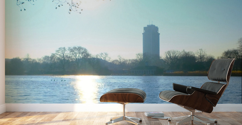 Swan Yoga Morning Stretch Wall Murals