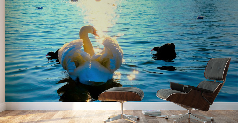 Luminous Voyage Wall Murals