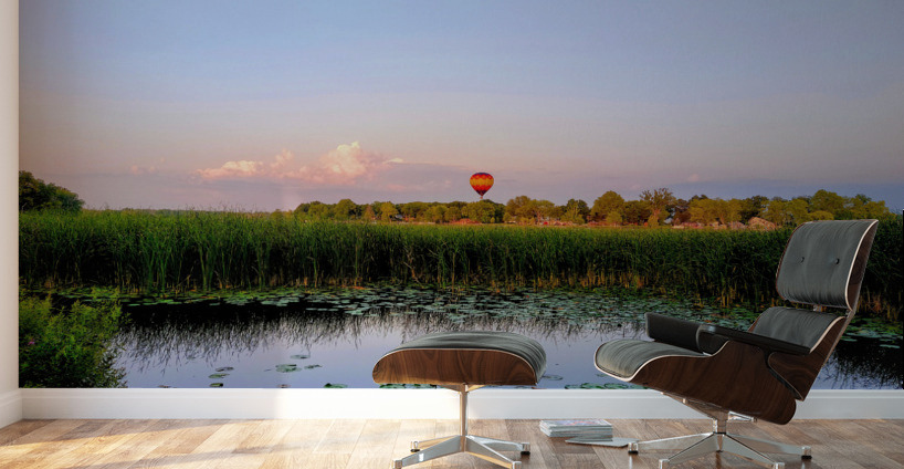 Drift Into the Blue Wall Murals