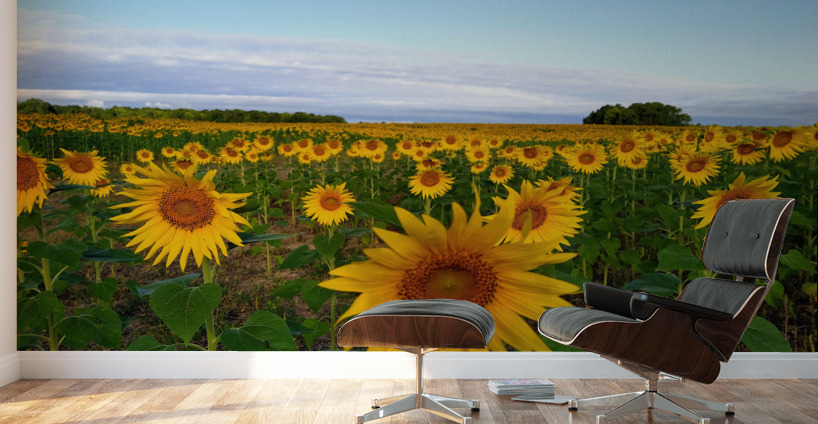 The Heart of Summer  Wall Murals