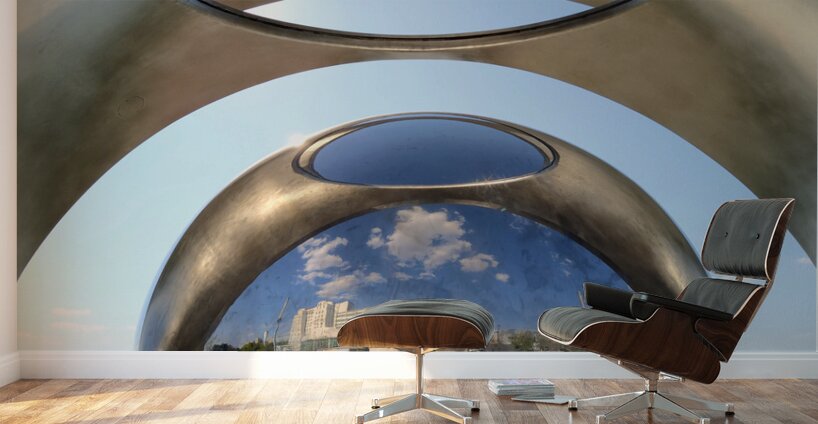 The Eye of the Skyline Wall Murals