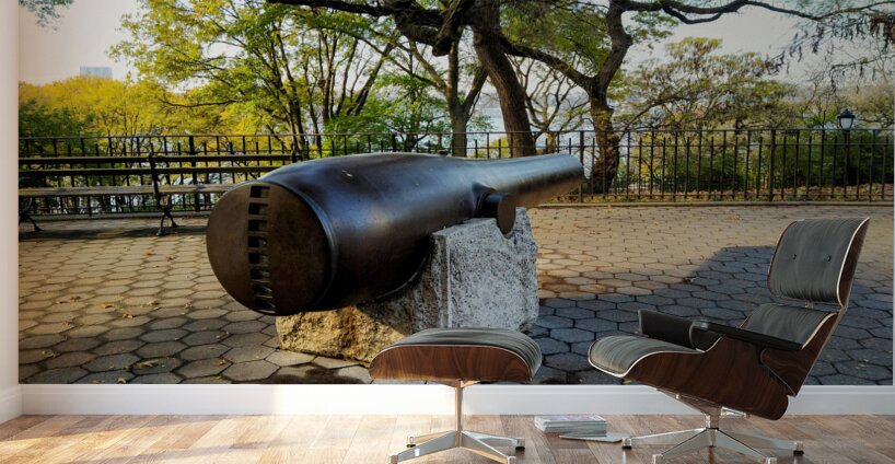 Parkside Cannon Wall Murals
