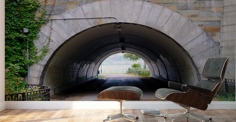 Vaulted Passage Wall Murals