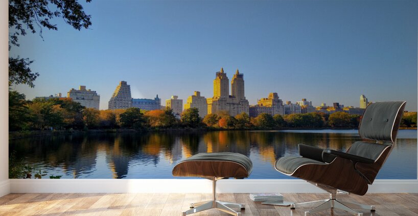 Urban Calm: Central Park View Wall Murals