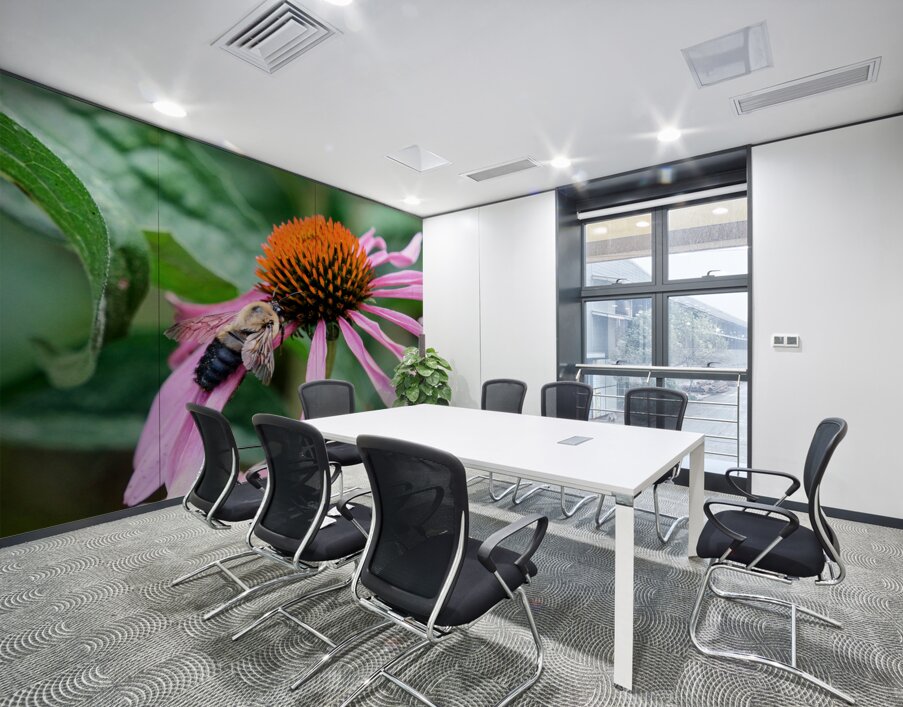 Stillness Amid the Spires of Echinacea Wall Printing