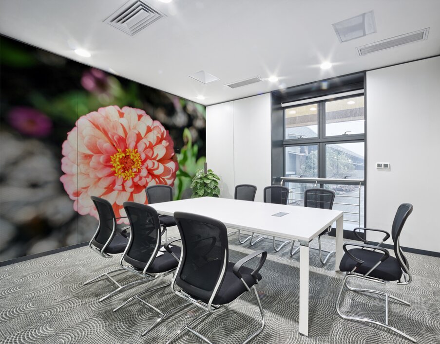 Sun Soaked Pink Zinnia Wall Printing