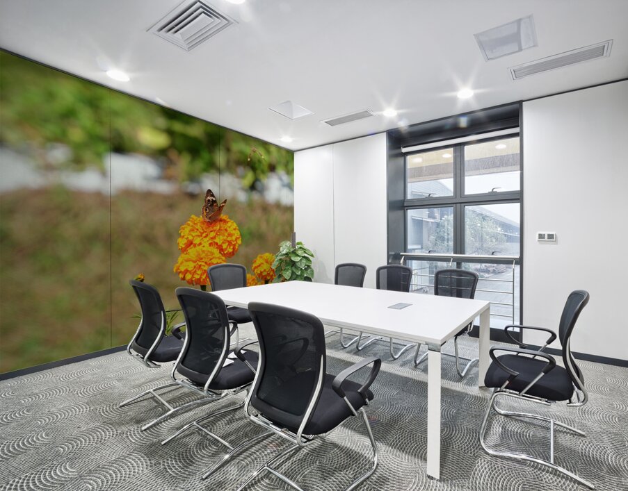 A Butterfly’s Pause Amid Sunfire Blooms Wall Printing