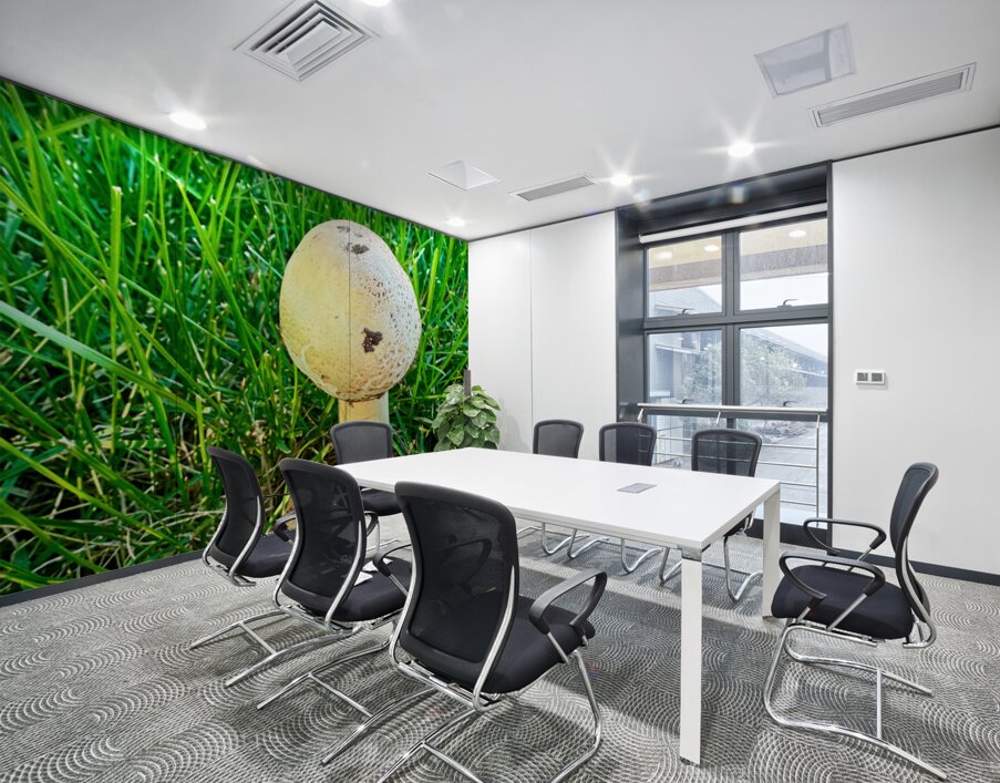 The Philosopher’s Cap Wall Printing