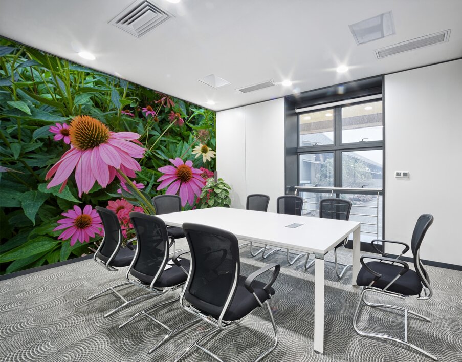 Coneflower Chorus Wall Printing