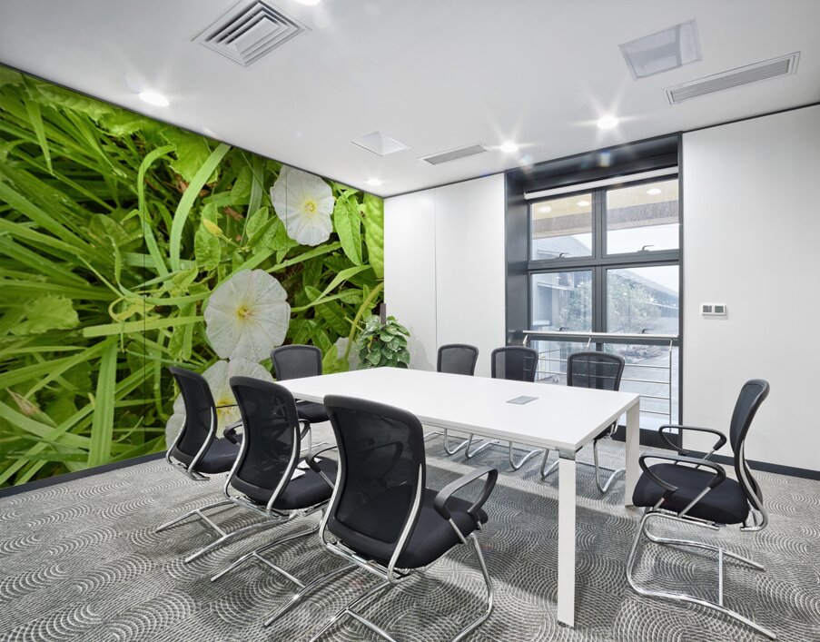 Bindweed Blossoms in the Grass Wall Printing