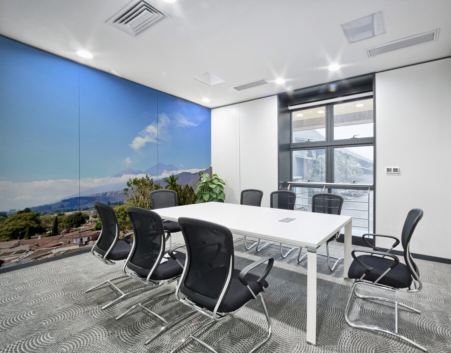 IMG 0160 Wall Printing