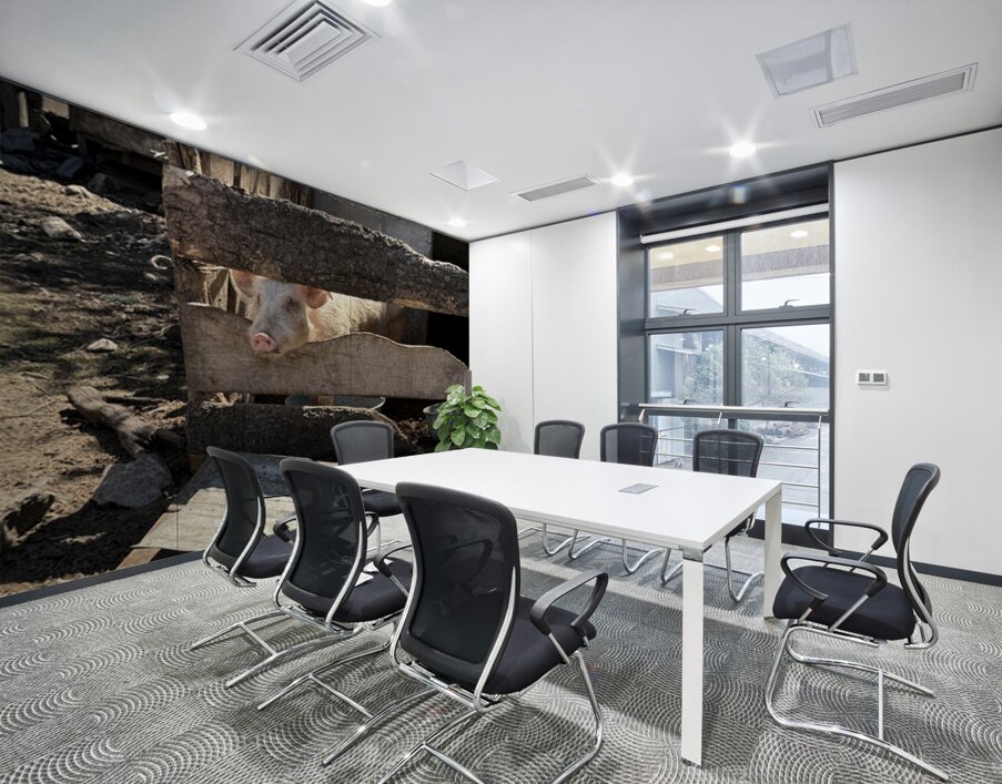 IMG 9518 Wall Printing