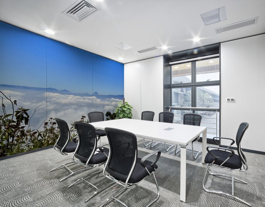 IMG 9140 Wall Printing