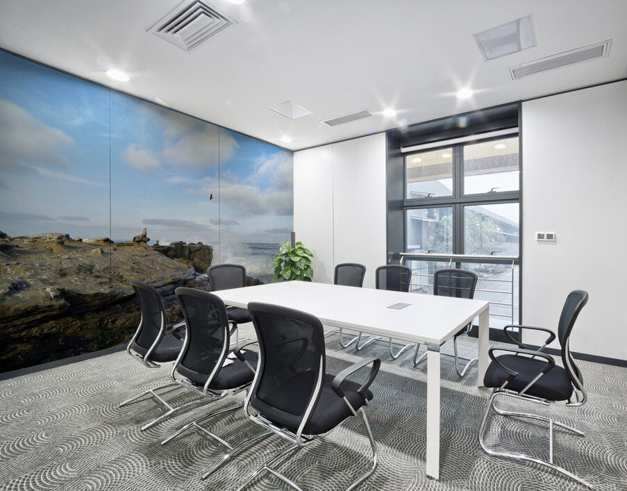 Seal Meditation 2B Wall Printing