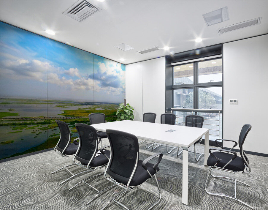 New Orleans from the Sky Wall Printing