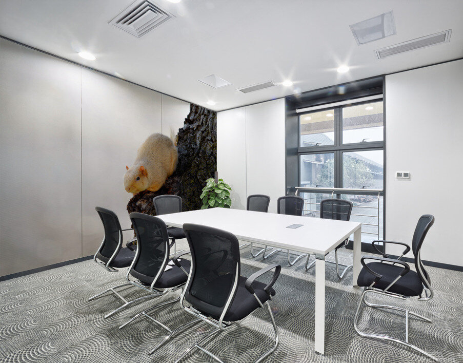 A Blonde Squirrel Moment Wall Printing