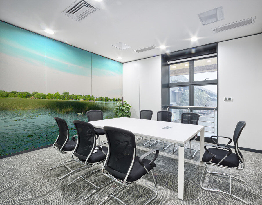 MI Swan Lake 2 Wall Printing