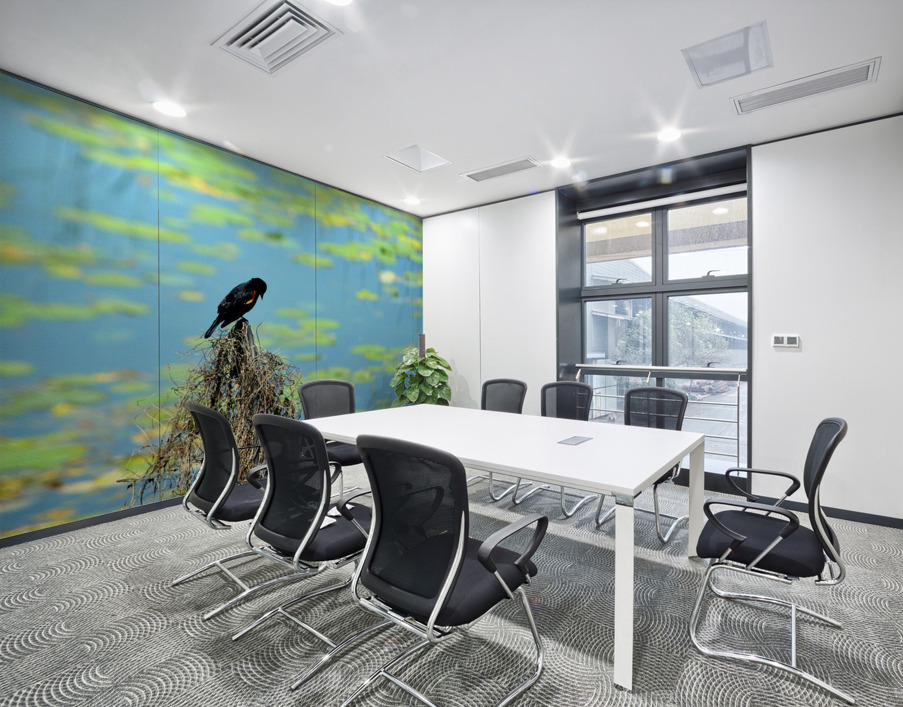 Praying for a Miracle Wall Printing