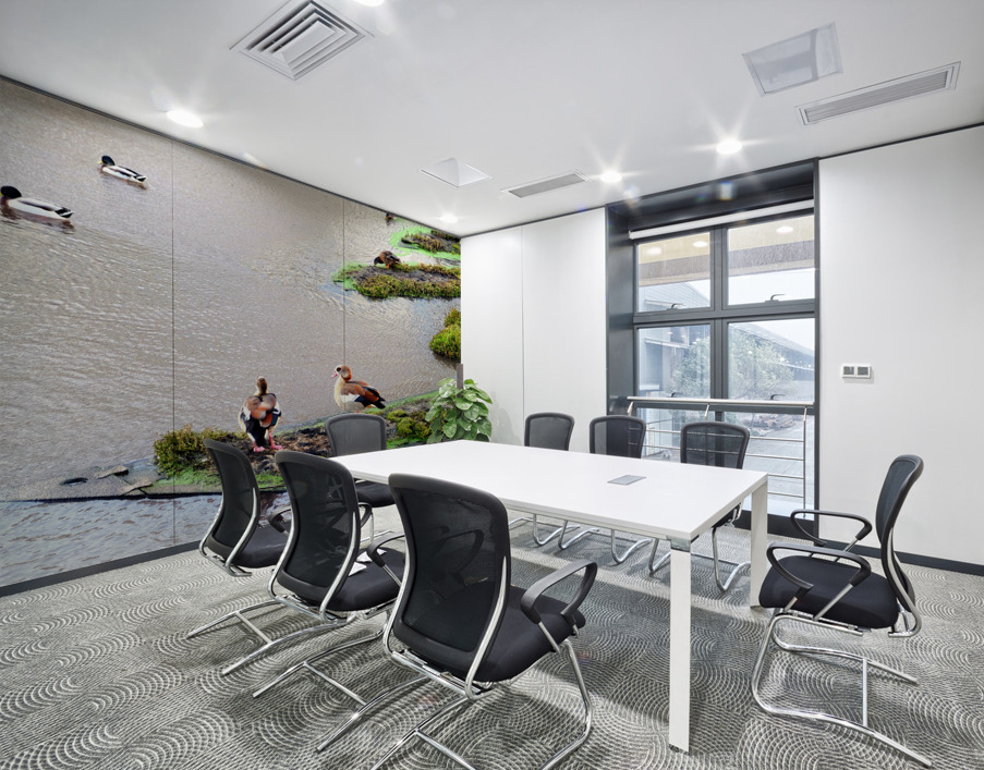 In Living Color Ducks Wall Printing