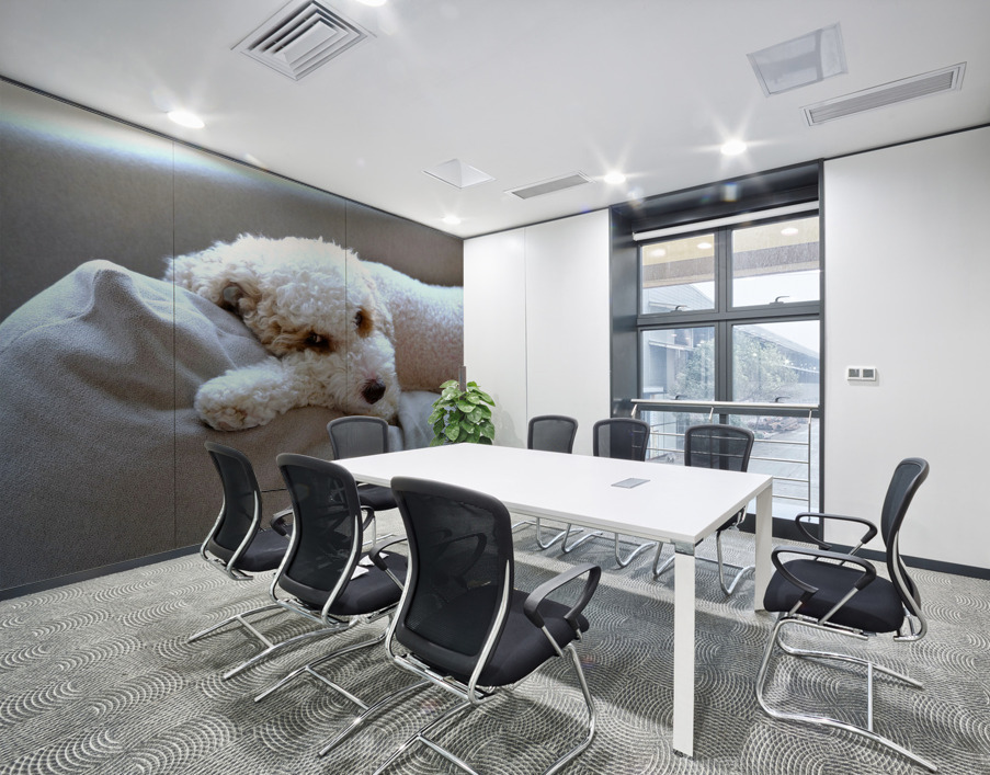 Not Pouting Pooch Wall Printing