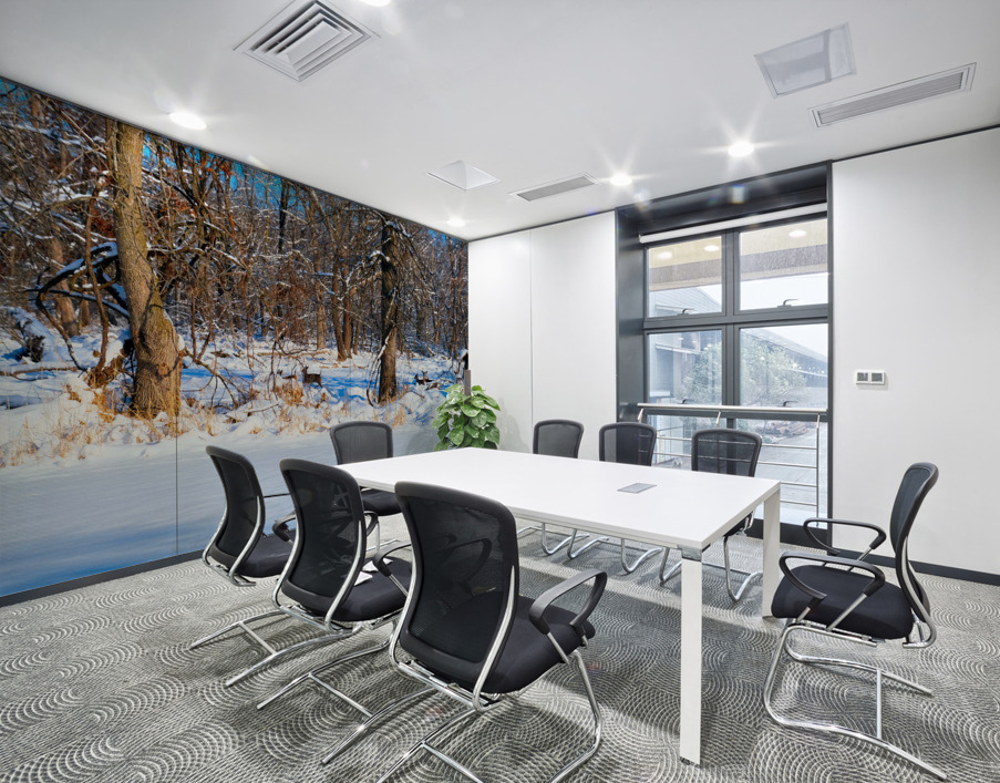 Hiding in Plain Sight Wall Printing