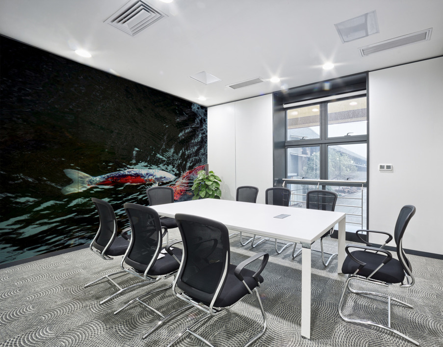 Playful Koi 2 Wall Printing