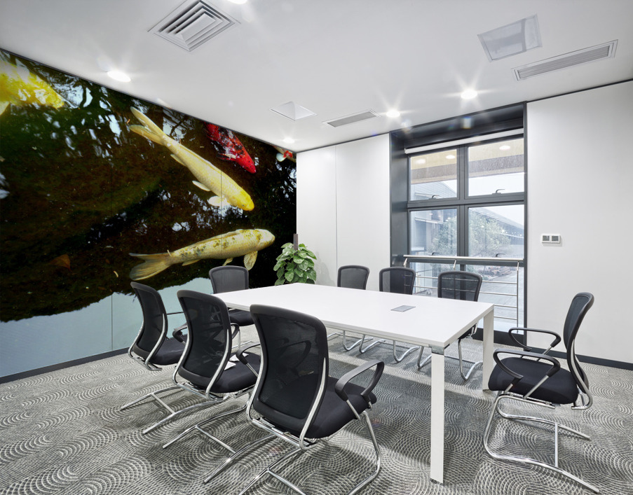 Some Very Coy Koi 2 Wall Printing