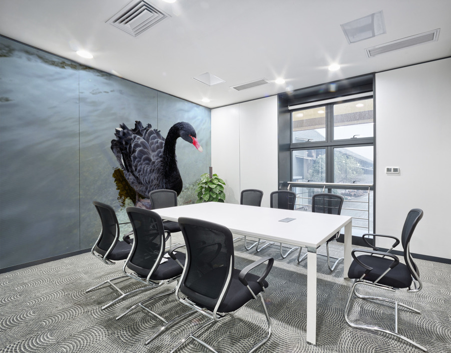 A Black Swan Moment 3 Wall Printing