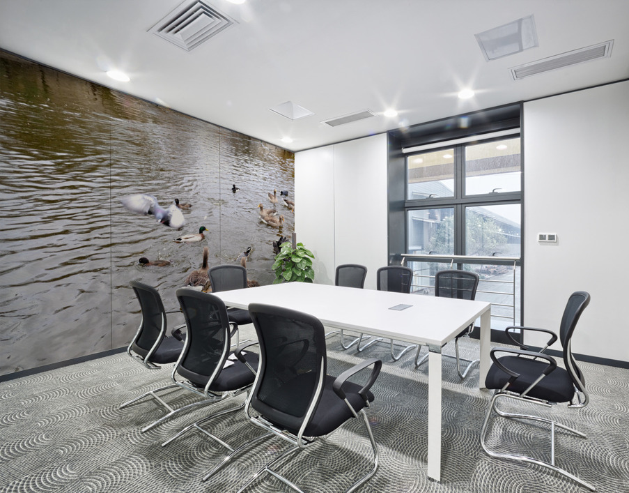 Pigeon Photobomb Wall Printing