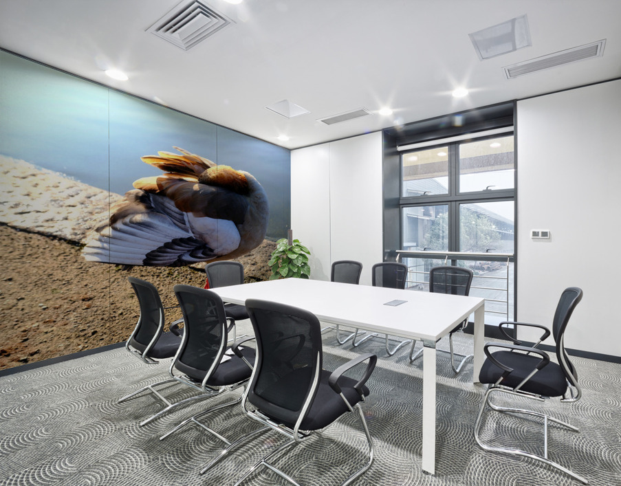 Headless Duck Wall Printing