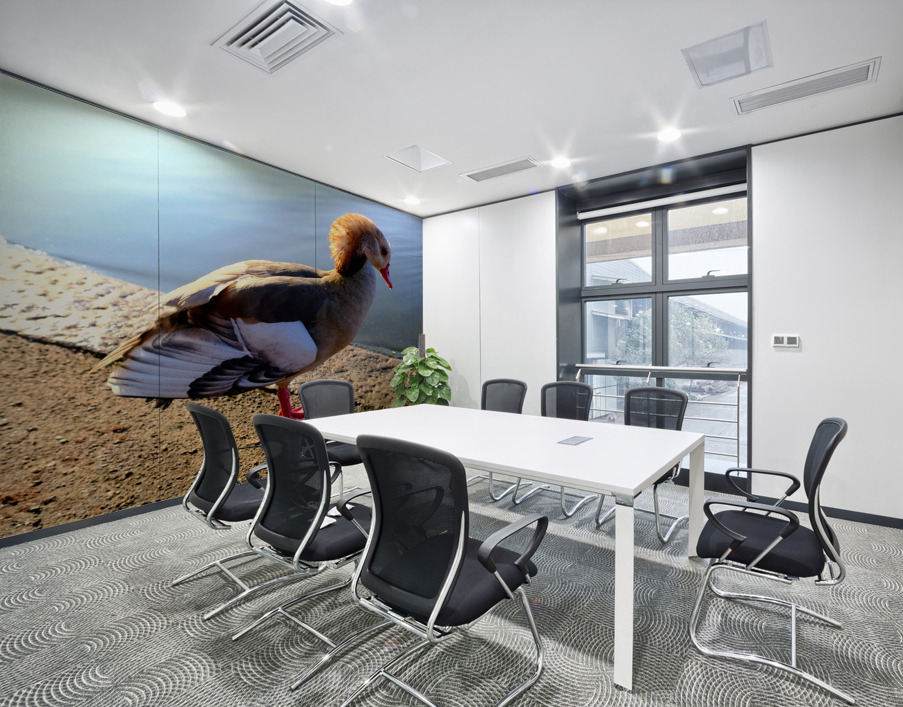 Duck Pose Wall Printing