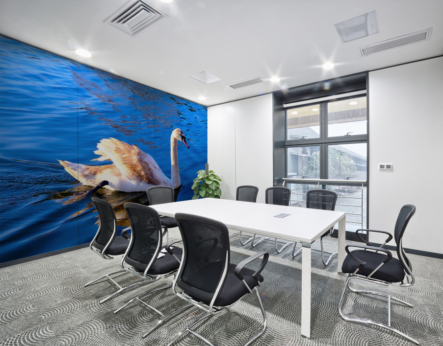 Baby Swan Cygnet 2 Wall Printing