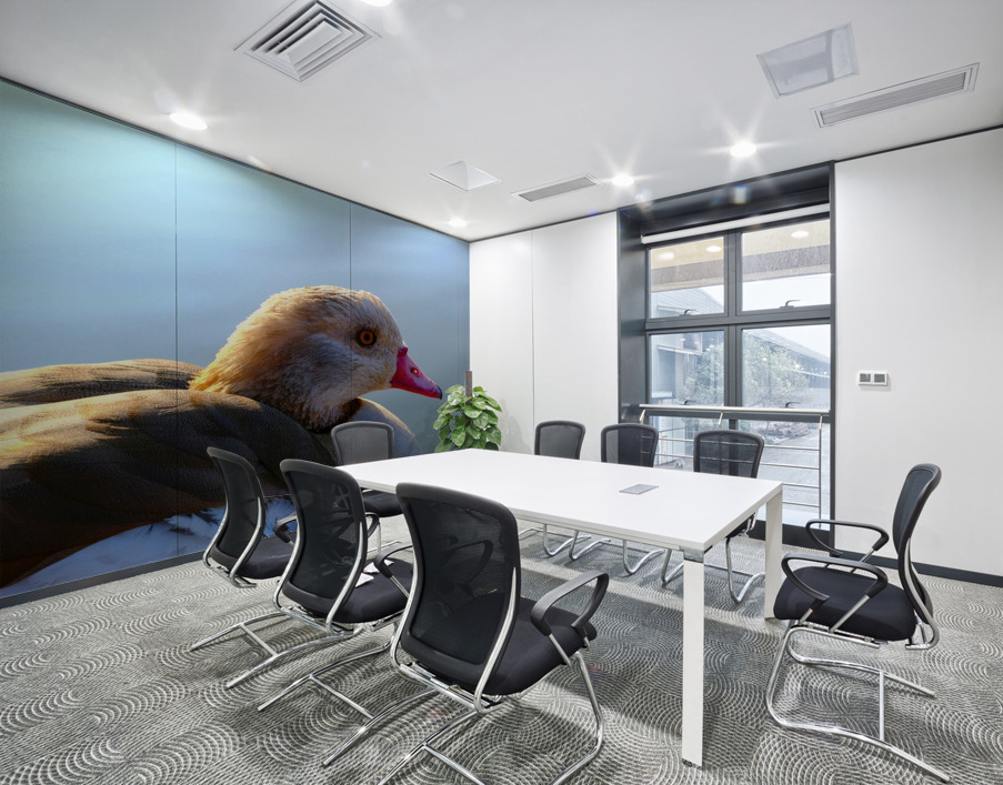 Duck Face Wall Printing