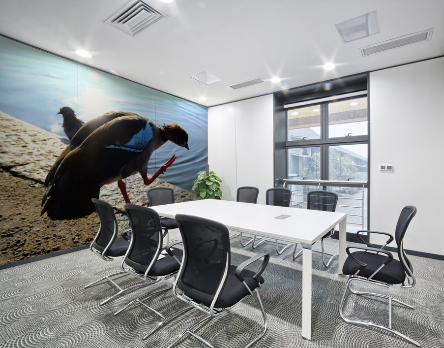  Step Off the Deep End Wall Printing